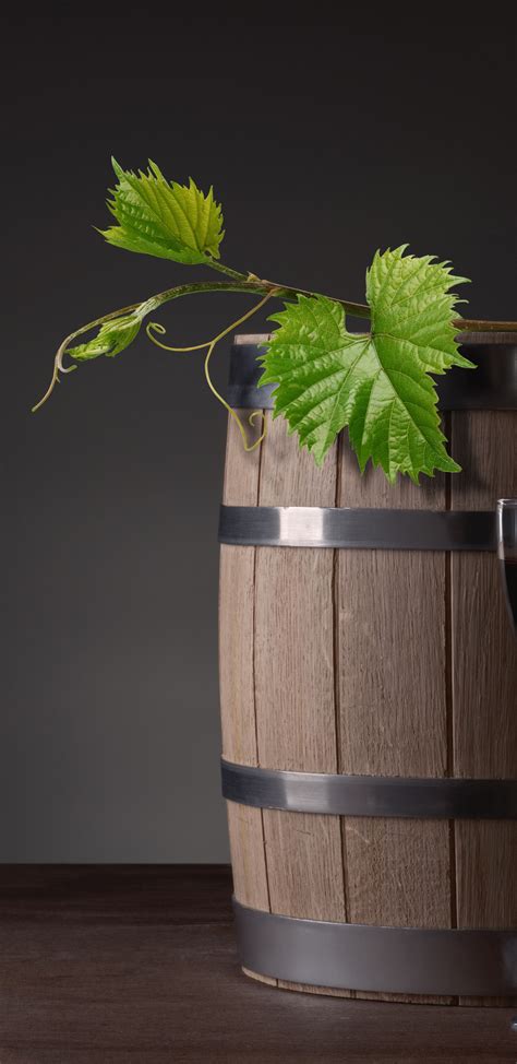 Download wallpaper leaves, wine, glass, bottle, barrel, section ...