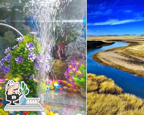 Biryani central Chandikhol, Chandikhol - Restaurant reviews