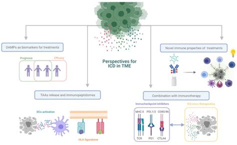 Restoring the Immunity in the Tumor Microenvironment: Insights into ...
