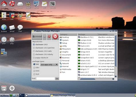 Image result for Embracing Linux Bionic Puppy 64 Bootable USB