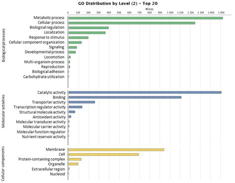Whole-Genome Sequence Insight into the Plant-Growth-Promoting Bacterium ...