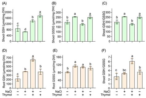 Thymol Deploys Multiple Antioxidative Systems to Suppress ROS ...