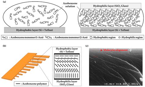 Surface-Controlled Molecular Self-Alignment in Polymer Actuators for ...