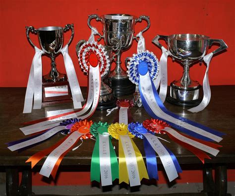 Killyleagh Show, 32-34 Ringdufferin Road, Toye, Killyleagh, Killyleagh ...