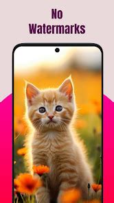 SSS Video Downloader – Apps on Google Play