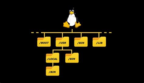 List of Variables and Metacharacters in Linux - Shell Programming ...
