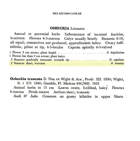 Herbarium JCB