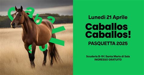 Caballos Caballos! | Pasquetta 2025 | Sir Oliver Skardy + Spaghetti ...