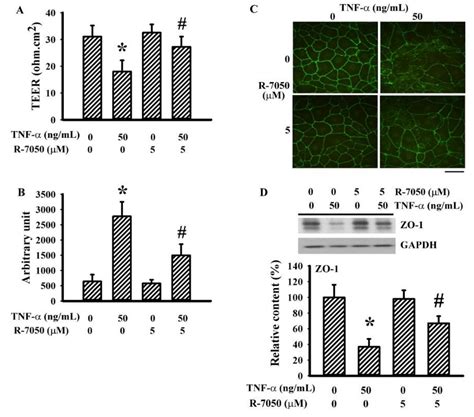 TNF-α Receptor Inhibitor Alleviates Metabolic and Inflammatory Changes ...