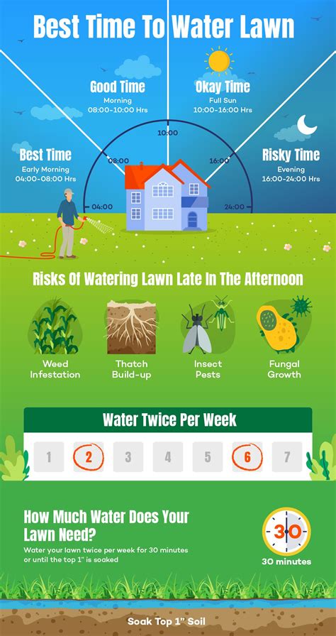 Best Time To Water Grass And Lawn For Perfect Results | Lawn care ...