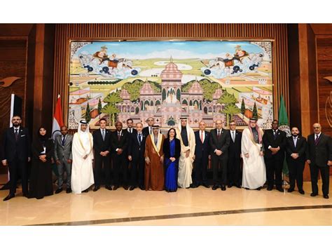 India, Arab States review progress at 4th SOM, identify new areas of ...