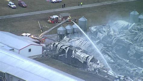 Dade City poultry farm fire likely killed 250,000 chickens, officials ...