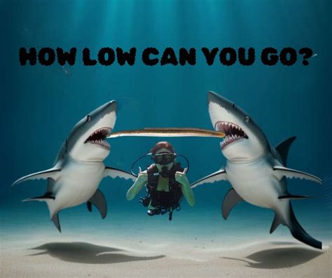 Limbo Dive Day, Christmas Tree Reef at Lake Pleasent, New River, 20 ...