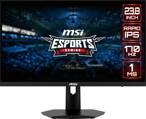 MSI G244F 24 Inch FHD Gaming Monitor - 1920 x 1080 IPS Panel, 170 Hz ...