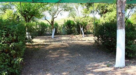 CAMPING PEFKI - Campground Reviews & Photos - Tripadvisor