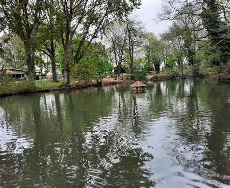 MELSOP FARM PARK (2026) All You Need to Know BEFORE You Go (with Photos ...
