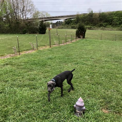 CAVE COUNTRY RV CAMPGROUND (Cave City) - Campground Reviews & Photos ...