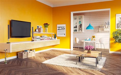 Innovative Colour Blocking Techniques for a Modern Home - SCI Paints