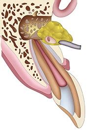 Kalra Dental and Facial Surgery Center