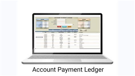 Account Payment Ledger ( E-mail Delivery Within 30 Minutes)
