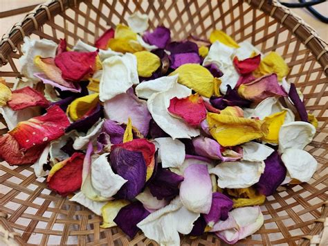 Create a Nature Inspired Wooden Bookmark, Erlas Victorian Walled Garden ...