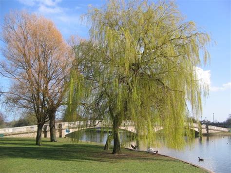 East Park, hull, United Kingdom - Top Attractions, Things to Do ...