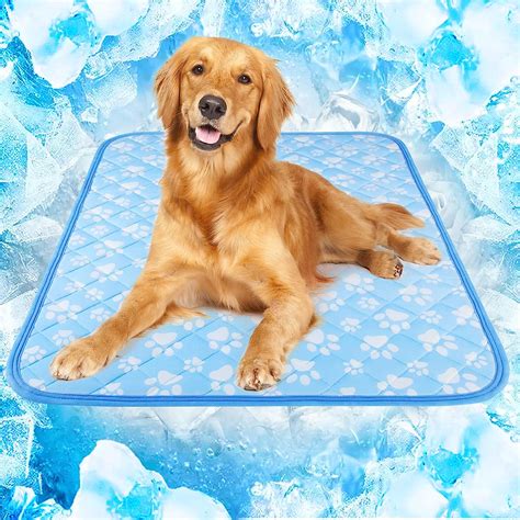 Do Cooling Dog Mats Work? The Truth Behind Your Pet’s Comfort