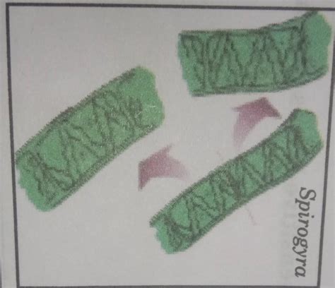 observe the given picture and write a short note - Brainly.in