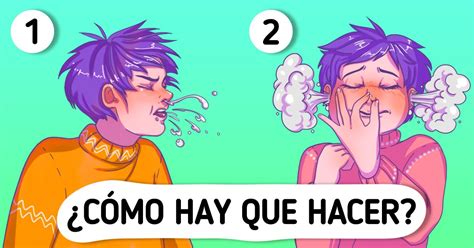 Cómo estornudar correctamente / Ideas En 5 Minutos