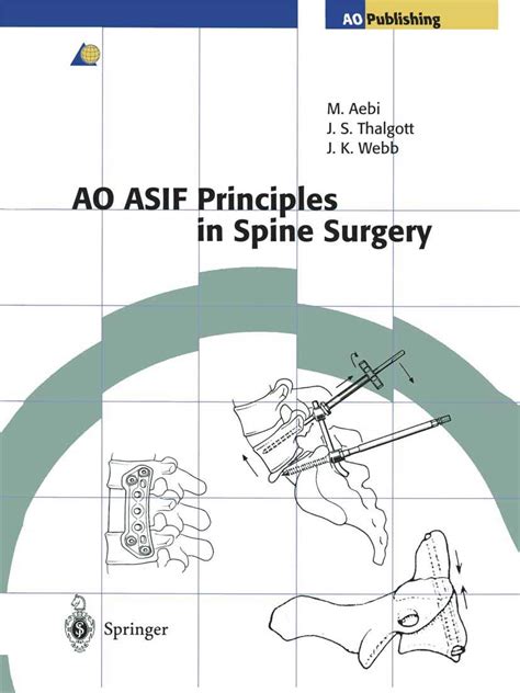 Buy Ao Asif Principles in Spine Surgery: Techniques Recommended by the ...