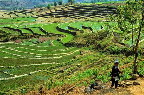 Key Facts about Shan State