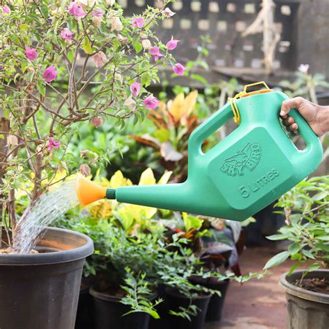 Buy Watering Can 5L Online at Best Prices in India - OrganicBazar ...
