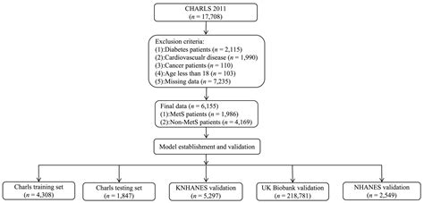 Machine Learning-Driven Metabolic Syndrome Prediction: An International ...