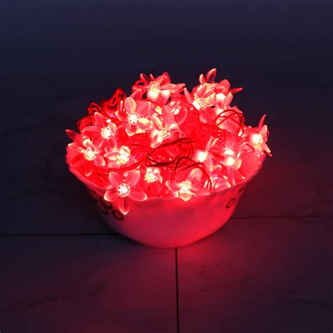 Small Red Silicon Flower 42 LED String Fairy Lights