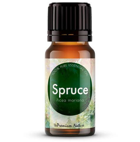The Premium Nature Spruce Essential Oil for Diffuser - Spruce Essential ...