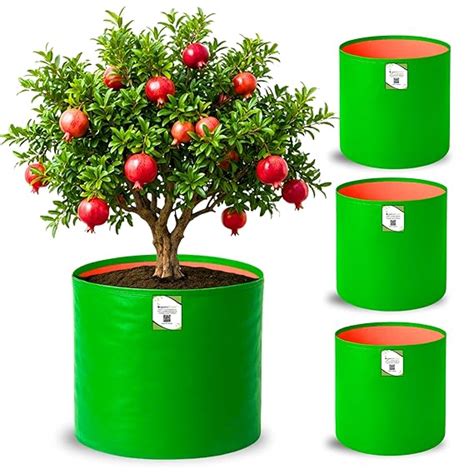 ORGANIC BAZAR 18x18 Big Size Grow Bags for Terrace Gardening, Premium ...