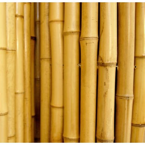 Backyard X-Scapes 0.75-in x 96-in x 72-in Natural Wood Bamboo Bamboo ...