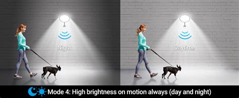 Solar Shed Light Indoor Outdoor | Solar Motion Sensor Light – Deerdance