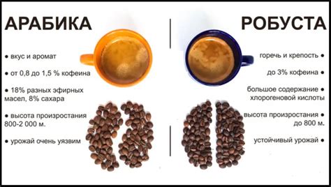 Сколько в чашке кофе кофеина, есть ли кофеин в растворимом кофе