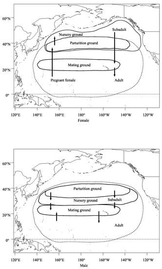Blue Shark (Prionace glauca) Distribution in the Pacific Ocean: A Look ...