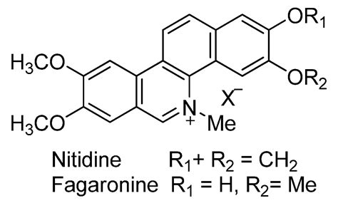 QSAR Modeling on Benzo[c]phenanthridine Analogues as Topoisomerase I ...