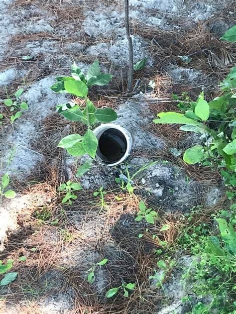 YEA OLD CUTTERS CAMP (Burk's Falls, Ontario) - Cottage Reviews & Photos ...