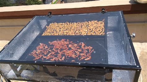 Solar Dryer | Solar Dryer Manufacturer | Solar Dryer In India