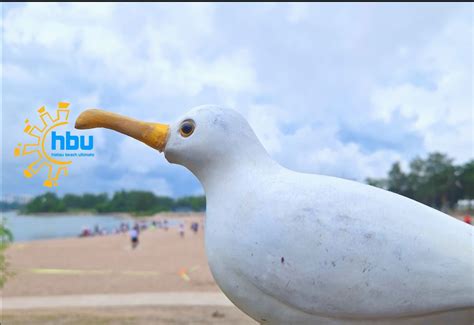 HBU: Hietsu Beach Ultimate 2024, Hietaranta Beach, Helsinki, 6 July ...