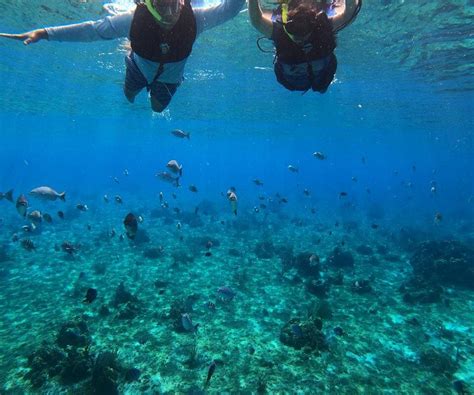 Snorkel Chivis Del Mar Tours Cozumel - All You Need to Know BEFORE You Go