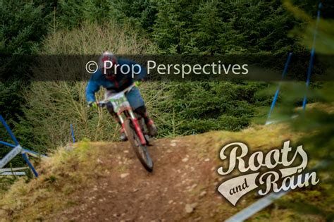 David REVELL 129 - Roots & Rain