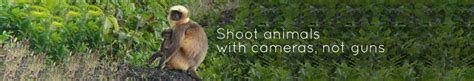 Photografia | Photographers in India
