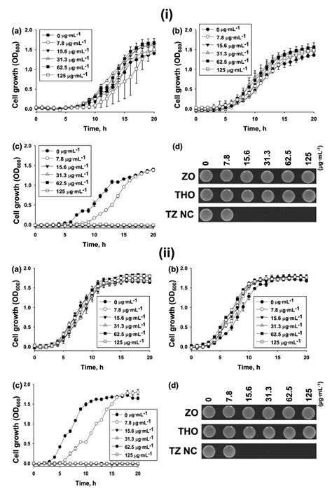 Bioconjugated Thymol-Zinc Oxide Nanocomposite as a Selective and ...