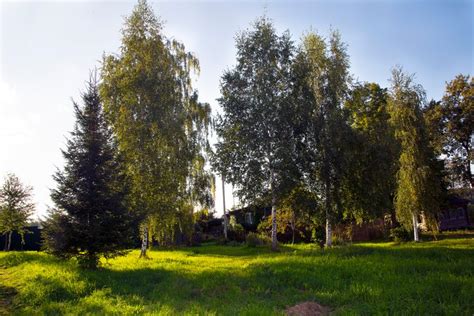 Интересные деревни: топ-10 мест для покупки загородного участка под Москвой