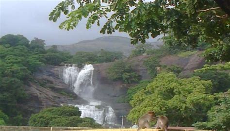 Courtallam Waterfalls Is A Serene Beauty You Must Explore In 2026